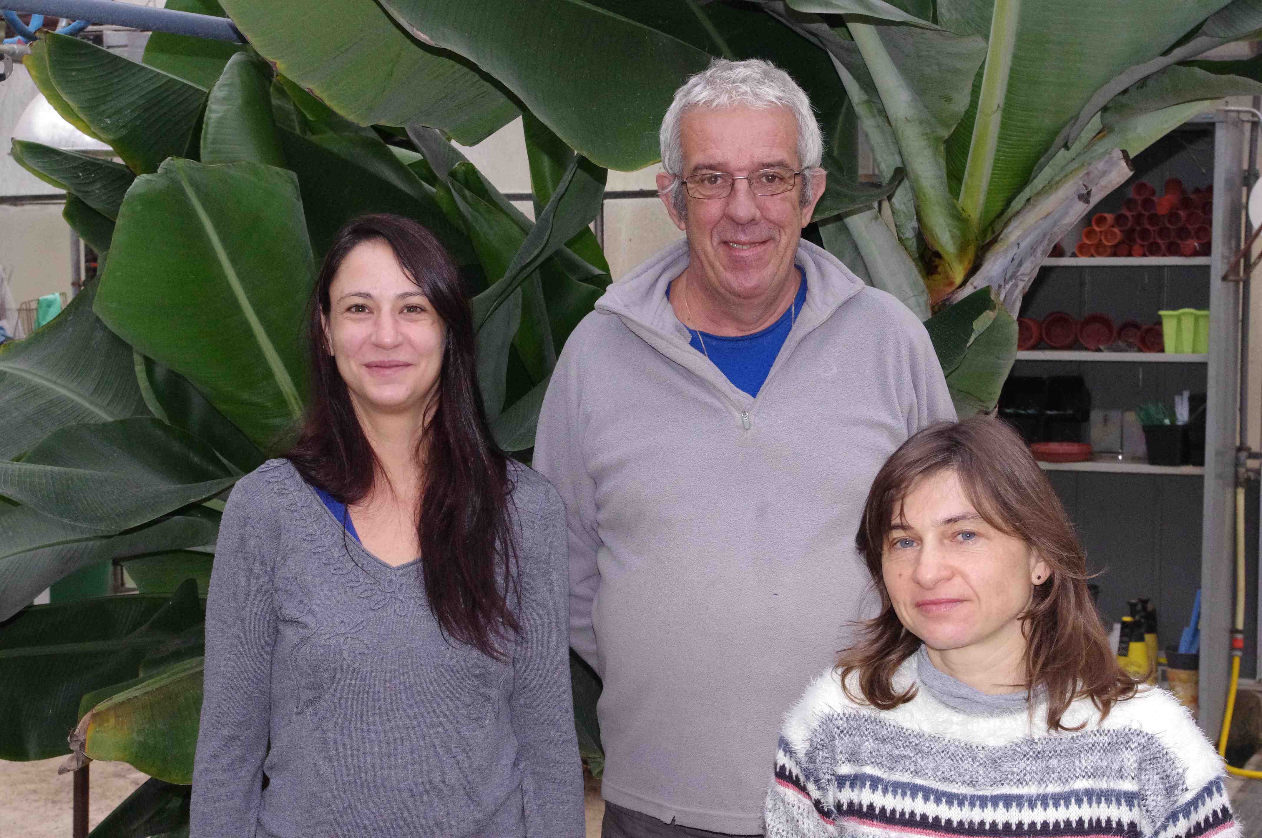 Bouton agrandir l'image