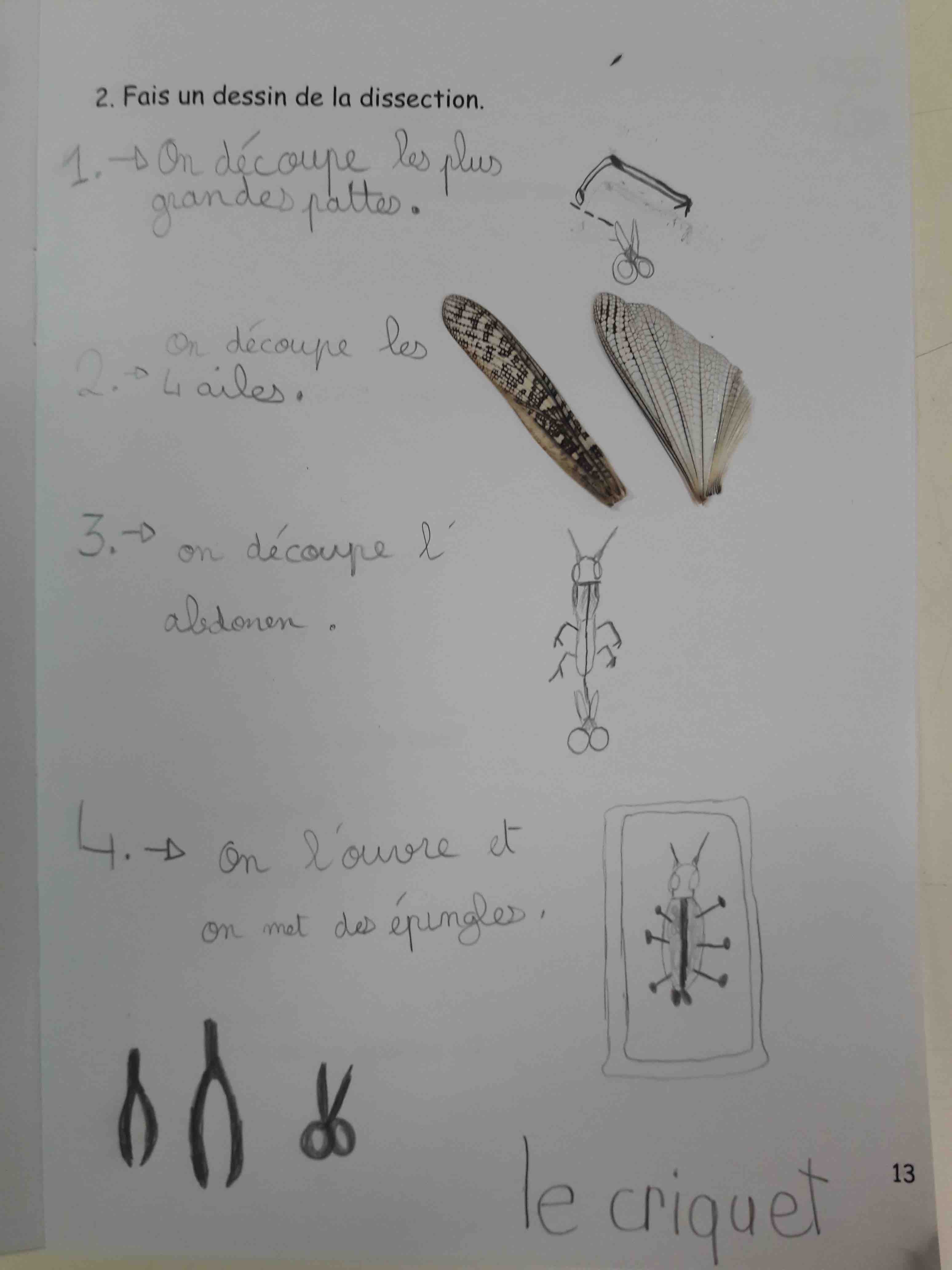 Bouton agrandir l'image