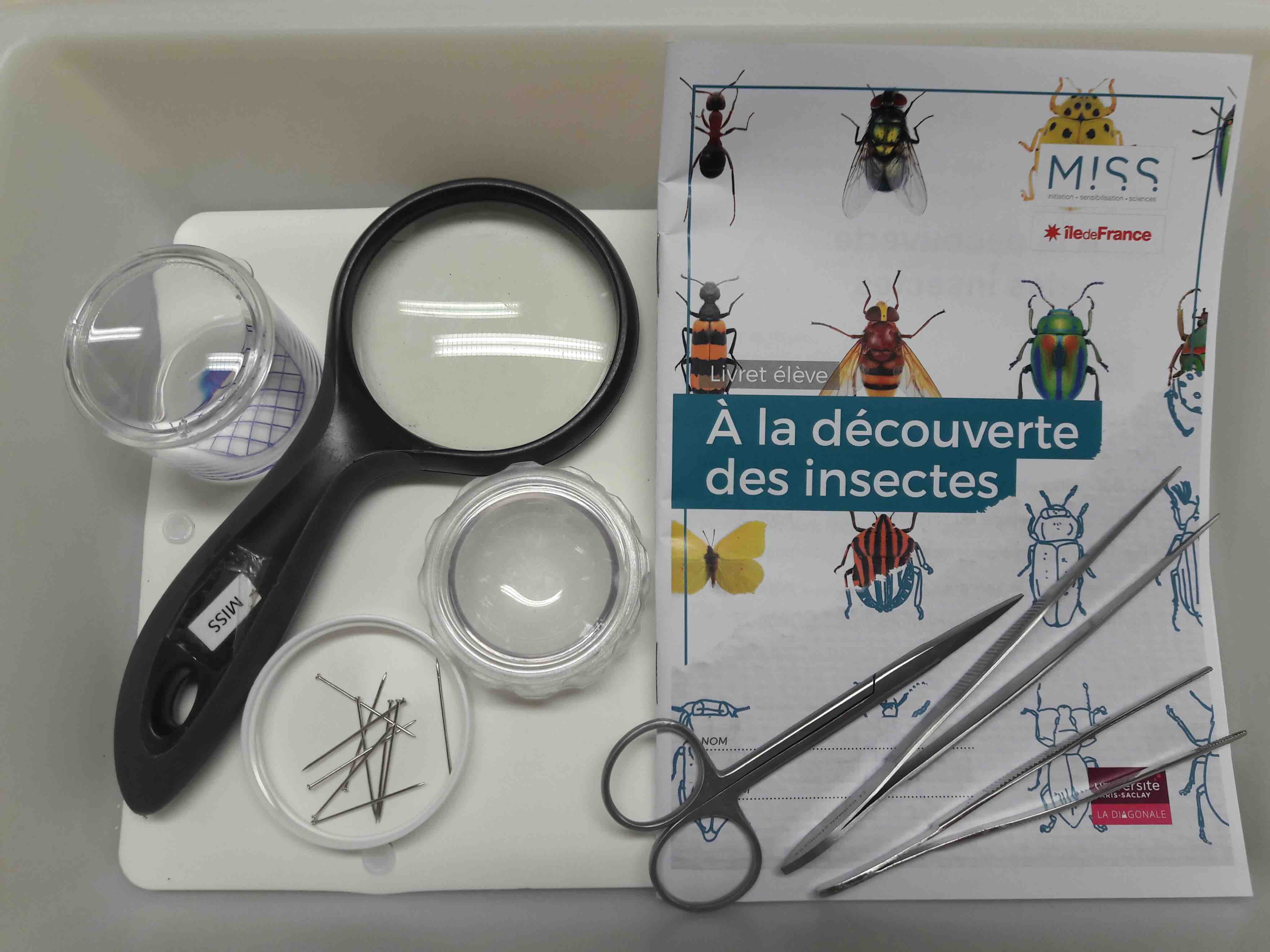 Bouton agrandir l'image