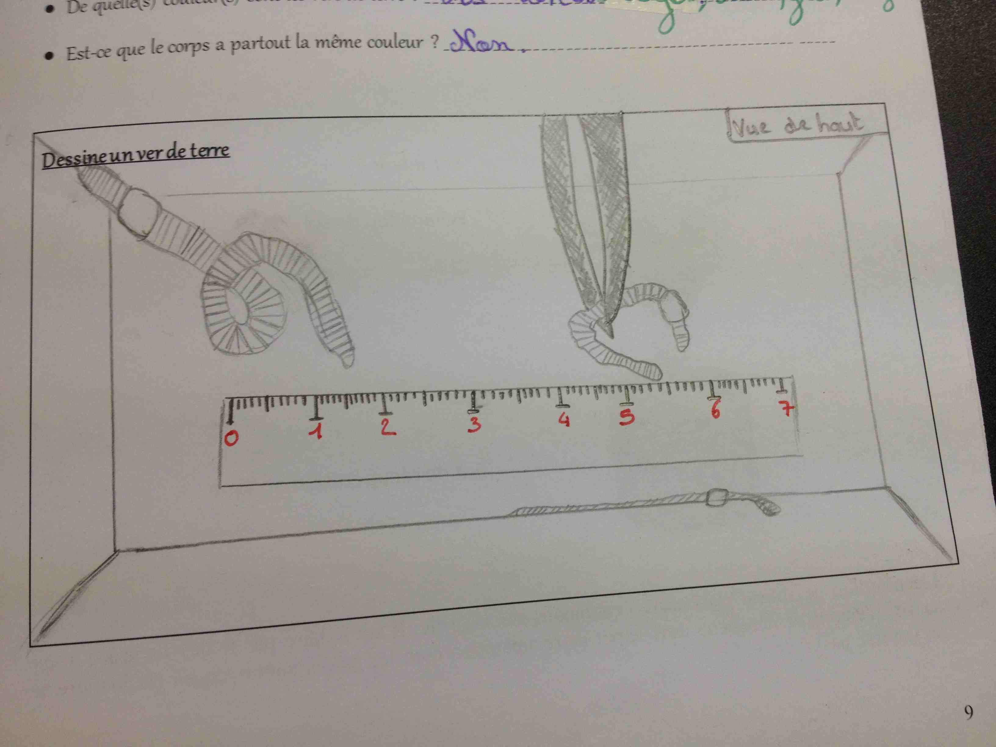 Bouton agrandir l'image