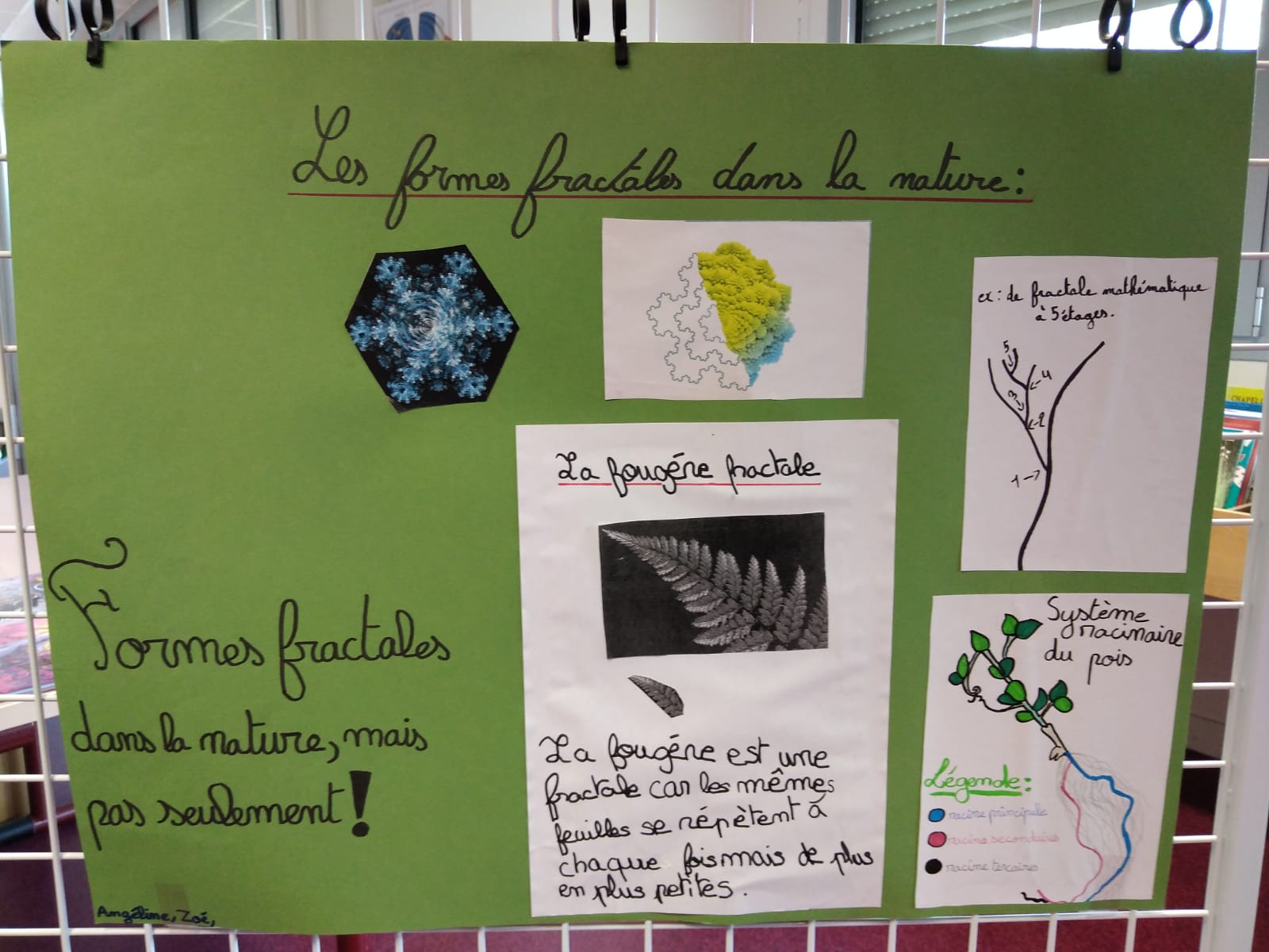 Bouton agrandir l'image